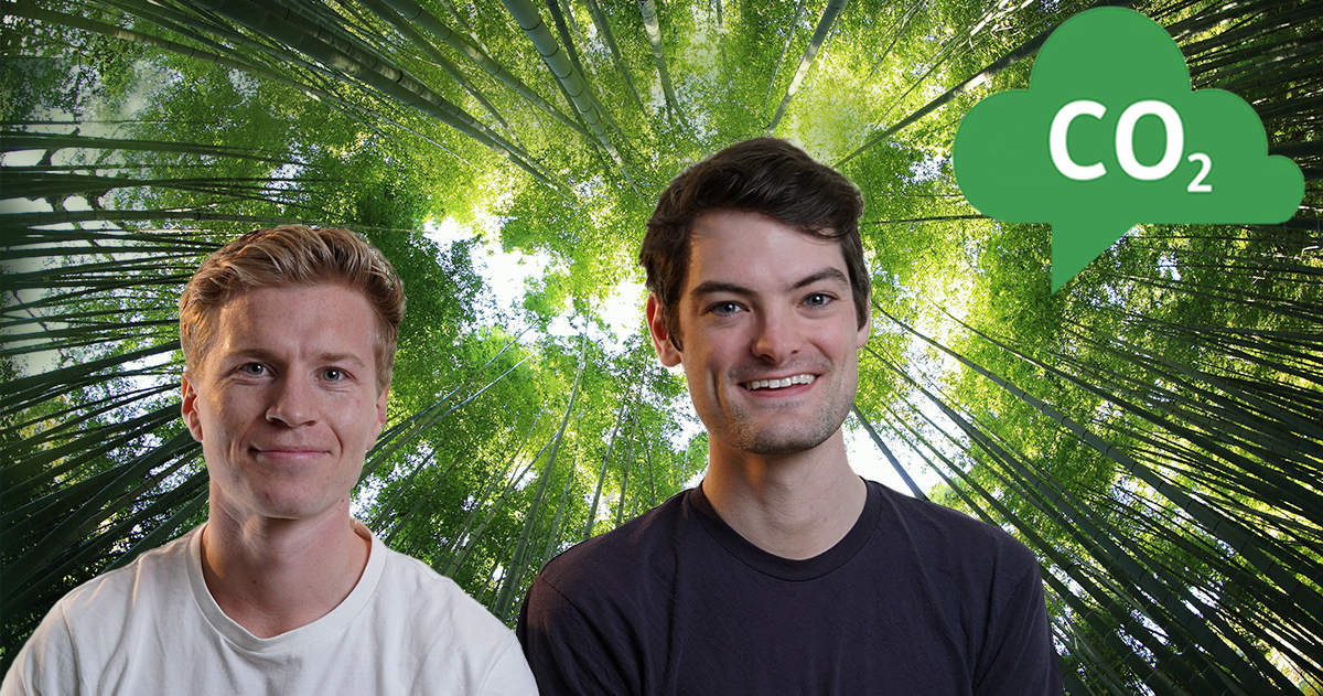 Die Gründer des Londoner Green-Tech-Start-ups treeconomy